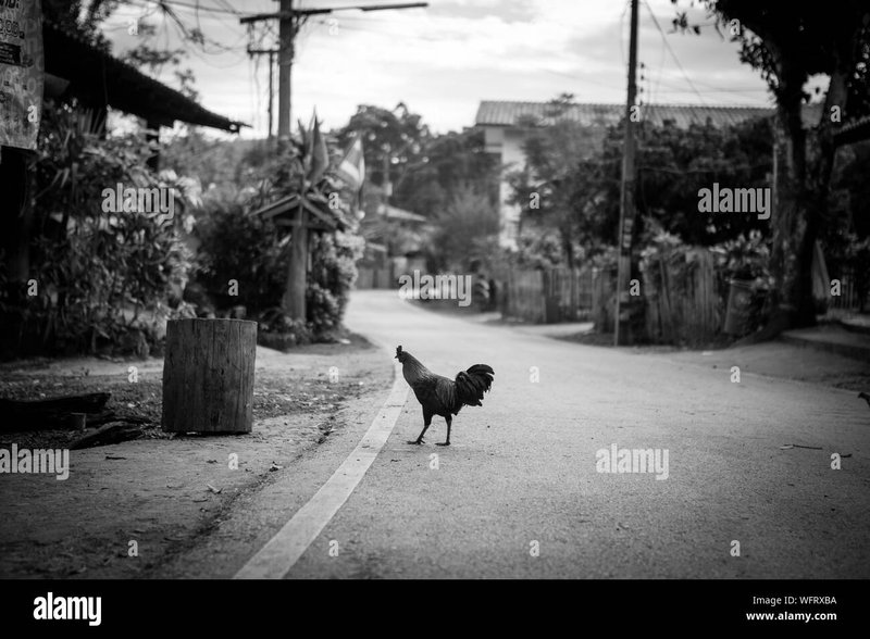 Chicken road españa in Spain